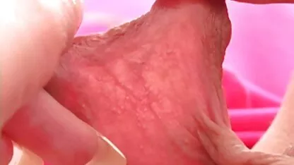 دختر کلی. گربه xl