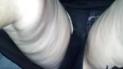 گربه مادر