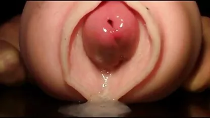 معکوس از گربه در پوشک