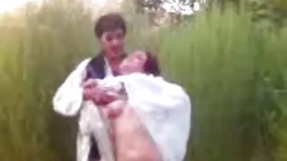 گربه عربی بوسیدن گربه