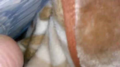 خواهران و برادران XXX Latina