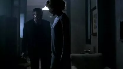 بچه گربه تنگ
