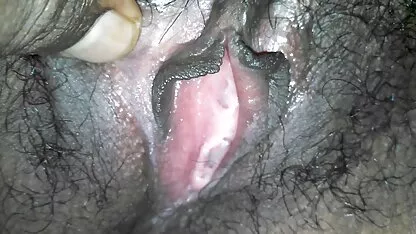 بیدمشک لاغر سریلانکا