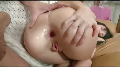 گربه روسی برای لیسیدن